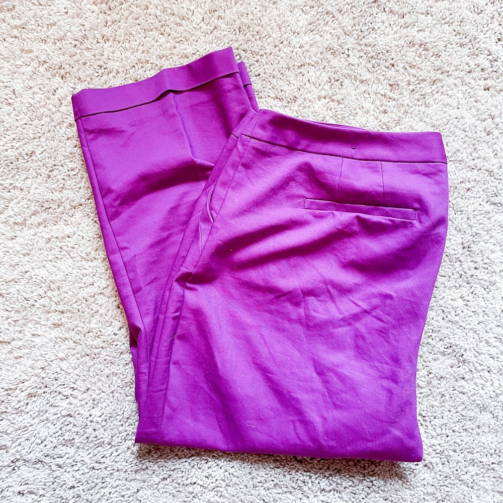 Lane Bryant cuffed Capri dress pants - EUC!